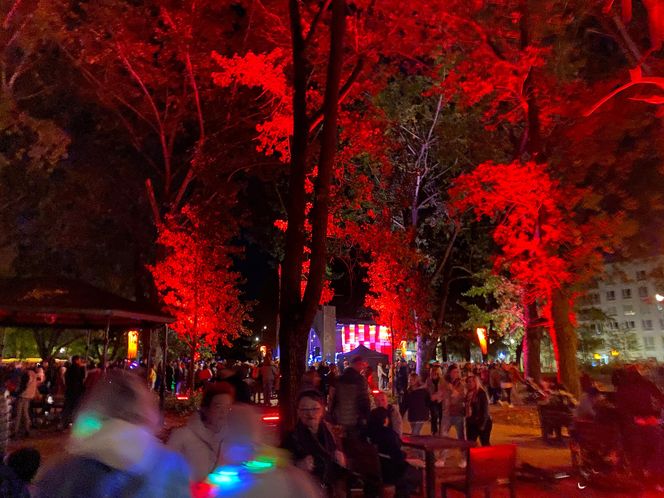 Light Move Festival 2025