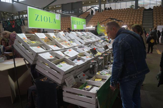 Giełda Minerałów, Biżuterii i Skamieniałości Geo Expo 2023 w Bydgoszczy. Tłumy w SISU Arenie [ZDJĘCIA]