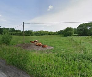 Nie tylko Lidzbark Warmiński. Te dwie miejscowości też staną się uzdrowiskiem