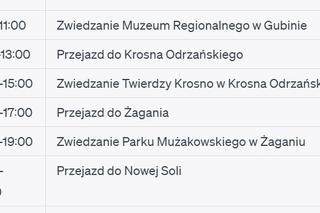 Oto jak sztuczna inteligencja zaplanowała wycieczkę po Lubuskiem