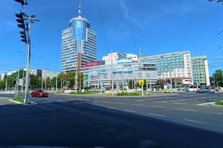 Chwasty na placu Rodła w Szczecinie