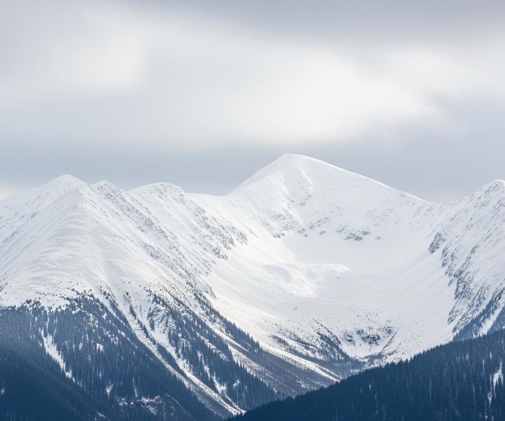 Trzy zaśnieżone szczyty górskie dominują centralną część kadru, otoczone ciemnym lasem u podnóża i jasnym, zachmurzonym niebem powyżej. Śnieg pokrywa większość zboczy, tworząc jasne, gładkie powierzchnie z miejscowymi nierównościami i śladami. Poniżej linii śniegu gęsty, ciemnozielony las iglasty rozciąga się w dolnej części obrazu, kontrastując z bielą gór. Nad szczytami niebo jest pokryte jednolitą warstwą szarych chmur.