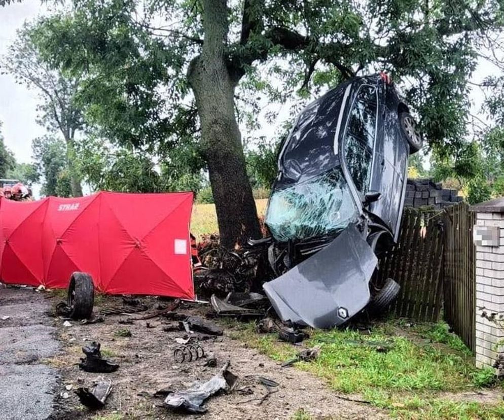 Kierowca nie przeżył. Medycy ratowali ciężko ranną kobietę i dziewczynkę