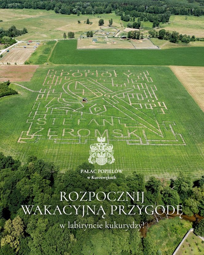 Labirynt w Kurozwękach