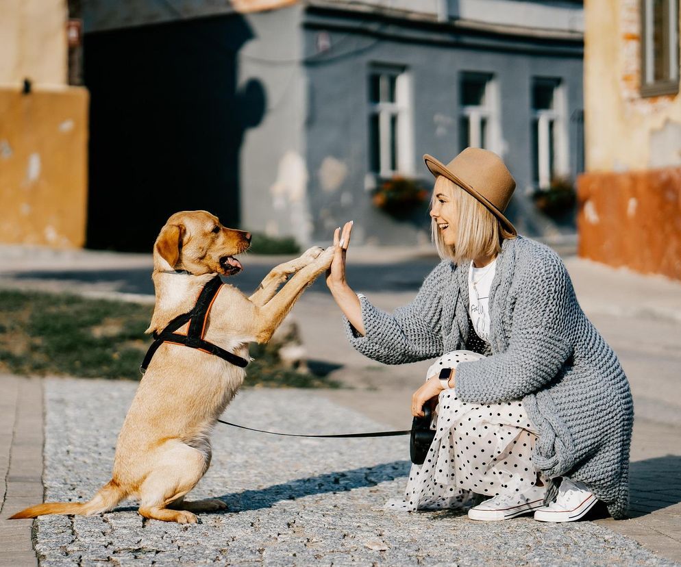 Za co kochamy psy? Dziś Międzynarodowy Dzień Psa 
