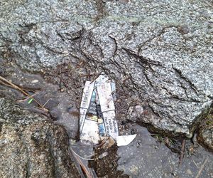 Morskie Oko zaśmiecone jak nigdy. To sprawka turystów. TPN opublikował zdjęcia.
