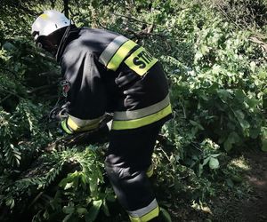 Weekendowe nawałnice na Podkarpaciu