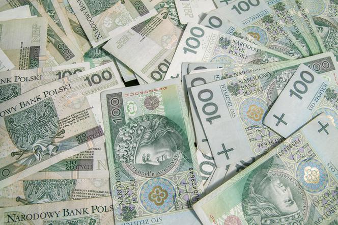 Polish Zloty
