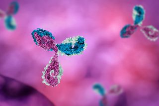 Immunoglobulina typu D (IgD)