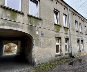 Kamilek z Częstochowy