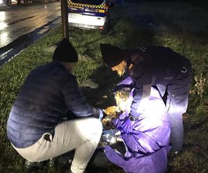 Starszy mężczyzna leżał na poboczu ruchliwej drogi! Wcześniej spędził noc w lesie