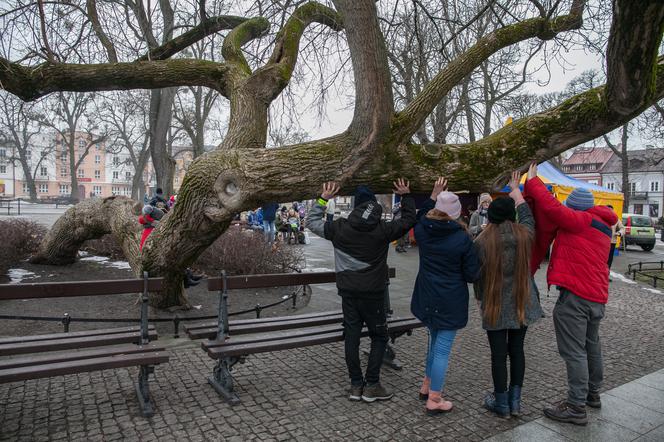 Polskie klony na europejskie salony