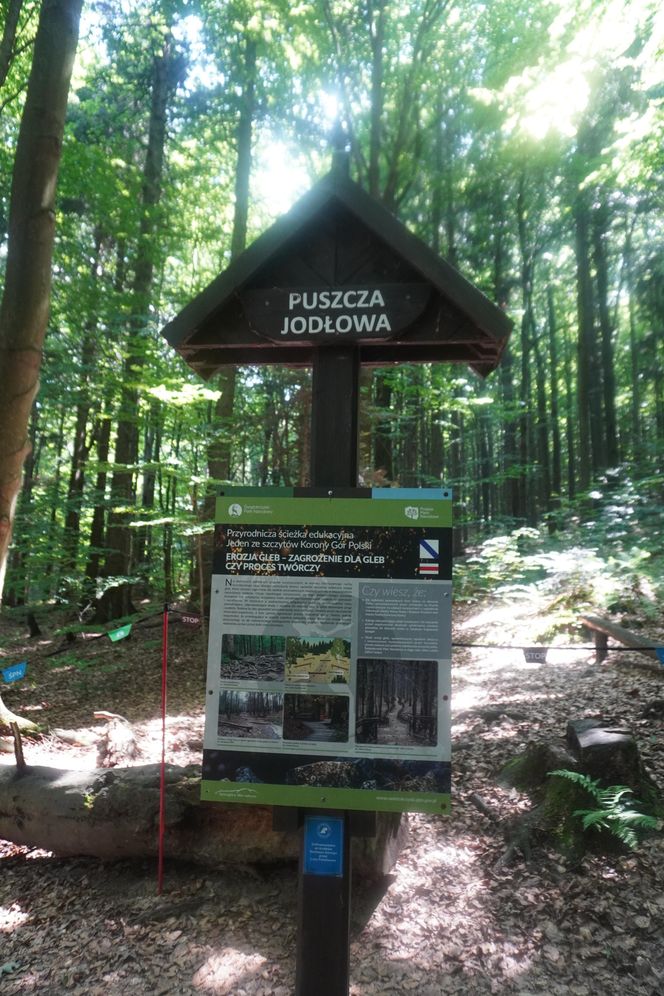 Wejście na Łysicę