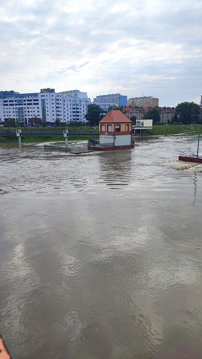 Fala powodziowa we Wrocławiu. Pod wodą są już beach bary i drogi 