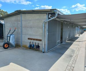 ​W schronisku dla zwierząt w Henrykowie koło Leszna montują markizy. Dadzą psom cień w gorące dni