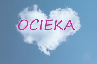 Ocieka