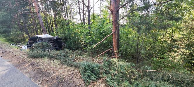 Wypadek w Krzepicach. Dwóch młodych kierowców z impetem uderzyło w drzewa