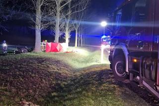 Śmiertelny wypadek pod Skwierzyną! BMW rozpadło się na części po zderzeniu z sarną [ZDJĘCIA]