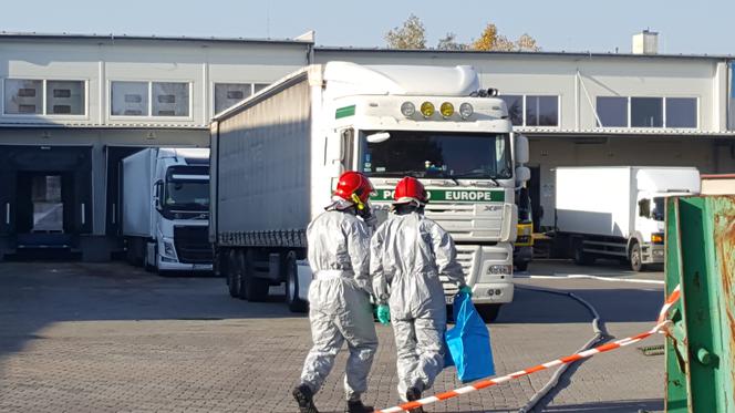 Kontrole sanitarne na granicy. 5 osobom odmówiono wjazdu do Polski przez podwyższoną temperaturę