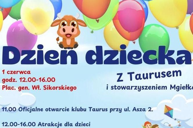 Dzień Dziecka w Siedlcach