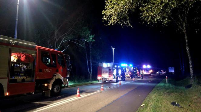 Białogrądy: Pijany 24-latek ROZTRZASKAŁ auto o drzewo