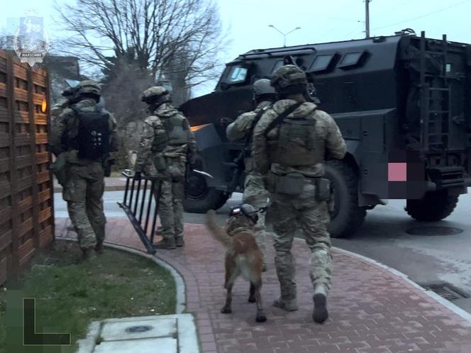 Kilkanaście osób zatrzymanych! Potężna akcja kryminalnych uderzyła w gang parszywych oszustów