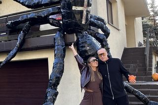 Gigantyczny pająk z Lublina robi furorę w sieci