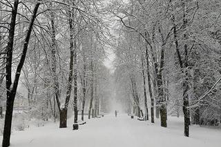 Białystok pokryty śniegiem. Piękne zdjęcia internautki Ewy