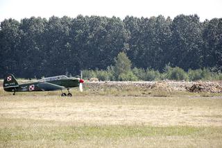 Katowice: Aeroklubowi przeszkadza las, więc wnioskuje o jego przetrzebienie