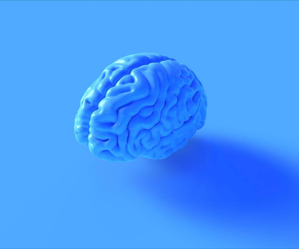 Istota szara (substancja szara, ang. grey matter) w różnych częściach ośrodkowego układu nerwowego rozlokowana jest całkowicie odmiennie.