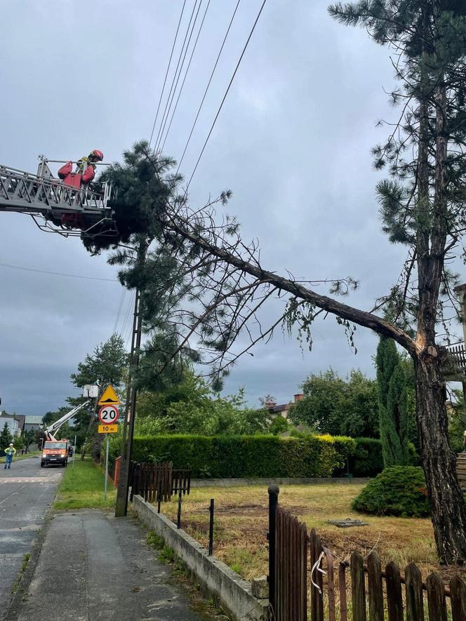 Burze i nawałnice nad Podkarpaciem. Strażacy interweniowali prawie 500 razy [ZDJĘCIA]