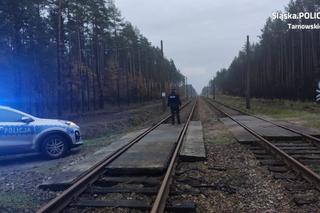 Śląskie: 86-latek zatracił się wśród grzybów. Konieczna była pilna interwencja służb!