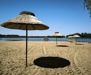 Hawajskie klimaty i inne nowości