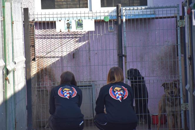Torcida Girls