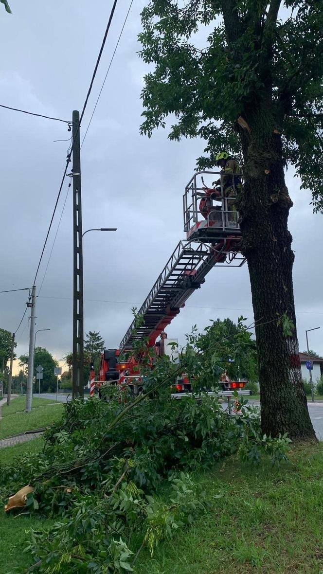 Burze i nawałnice nad Podkarpaciem. Strażacy interweniowali prawie 500 razy [ZDJĘCIA]