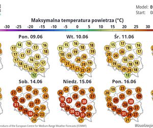 Nadchodzi pierwsza fala upałów w Polsce. Prognoza IMGW do 14.06.2025 r. 