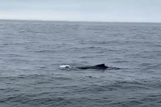 Niezwykłe zjawiska nad Bałtykiem. Przyroda tworzy cuda!