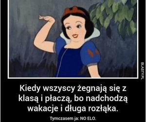 Zakończenie roku szkolnego - MEMY