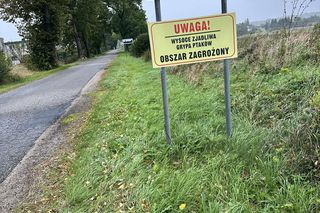Błażej potrzebował pomocy. Dyspozytor odmówił karetki