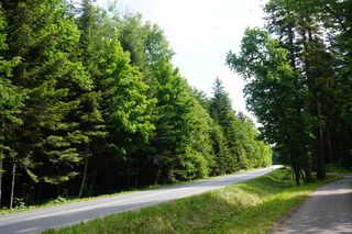 Puszcza Jodłowa i Góry Świętokrzyskie