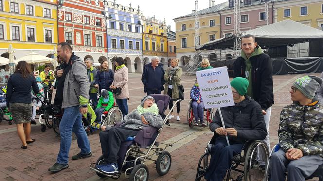 "I love green" na Rynku Wielkim w Zamościu