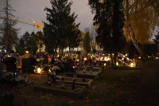 Cmentarz przy ulicy Bluszczowej w Poznaniu nocą. Wyjątkowe zdjęcia i magiczny czas