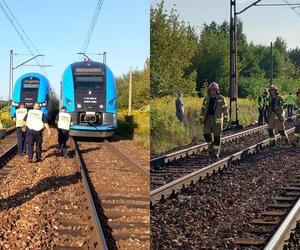 16-latka zginęła potrącona przez pociąg. Tragedia w Dąbrowie Górniczej