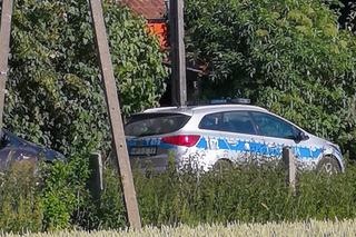 W tym miejscu psy rozszarpały 7-letnią Natalkę