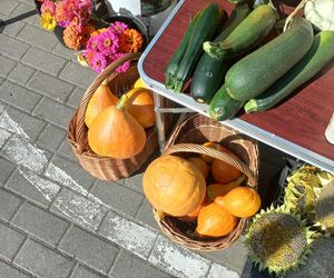 Jesień wkracza na targowiska w Rzeszowie. Kupisz już grzyby, dynie, orzechy i inne przysmaki!