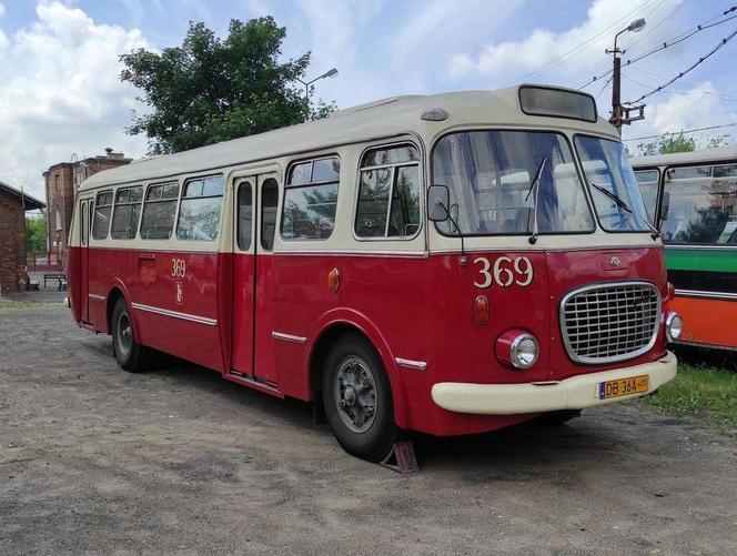 W Łodzi na trasy turystyczne wyruszyły autobusy Ogórek i Ikarus oraz tramwaj Sanok. Zostaną na długo! [TRASY, TERMINY]