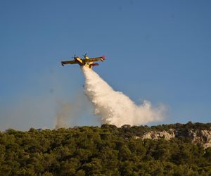 Pożary w kurortach wróciły! Gdzie wakacje mogą być niebezpieczne?