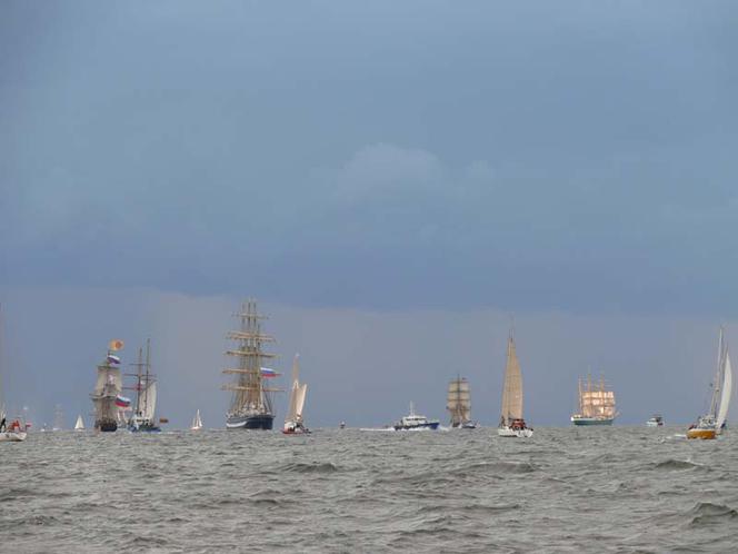 ParadaZagleGdyni2014_FotMZwierz_710387