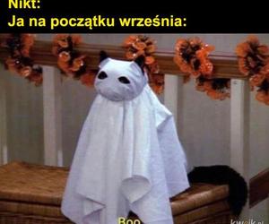 Memy o jesieniarach. Te obrazki są takie prawdziwe 