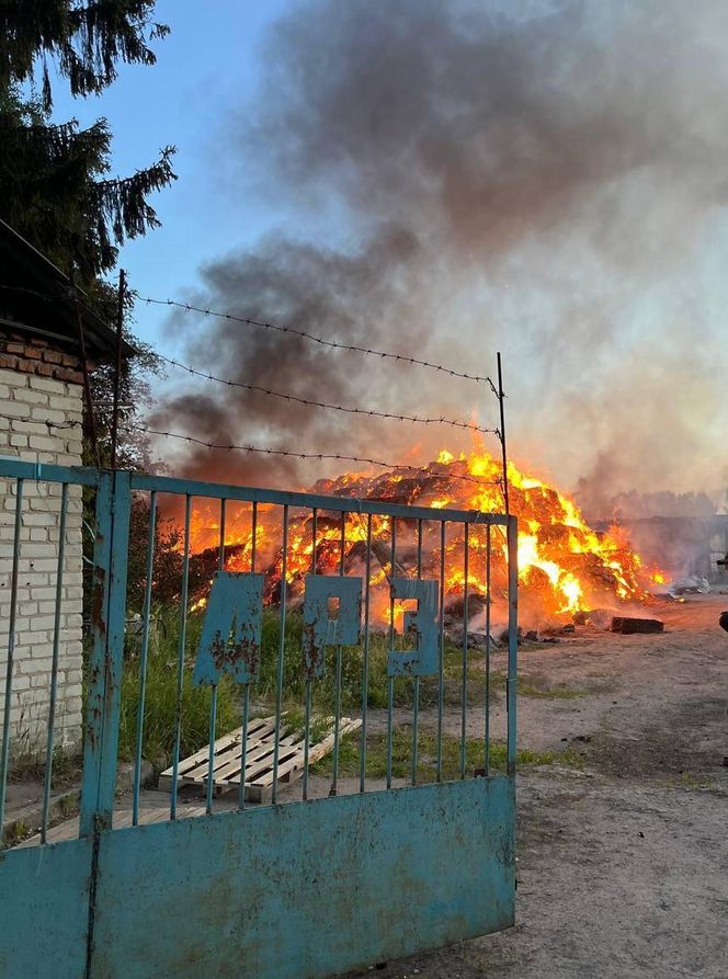 Zawalenie się dwóch mostów w obwodzie kurskim i briańskim na zachodzie Rosji nastąpiło wskutek eksplozji